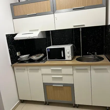公寓 Apartament Faleza Nord 1